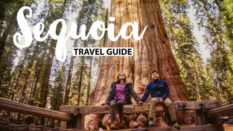 Sequoia National Park Travel Guide | Things to do & see on a weekend